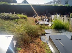 N-VA Zwevegem vraagt structurele oplossingen om de netheid van de begraafplaatsen te verbeteren