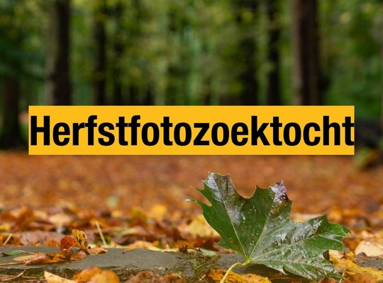 Herfstfotozoektocht doorheen Zwevegem
