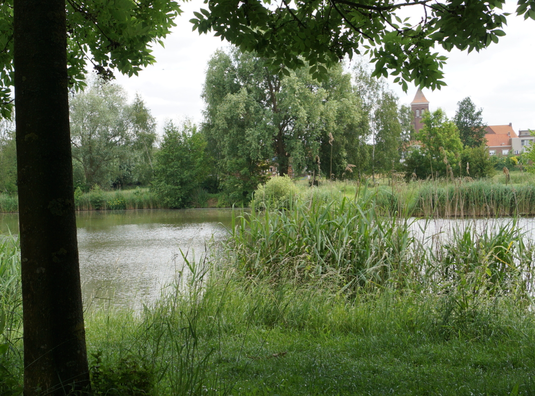 Lettenhofpark - vijver